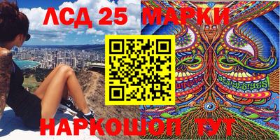 индика Моздок