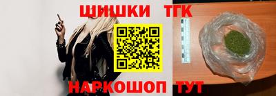 индика Моздок