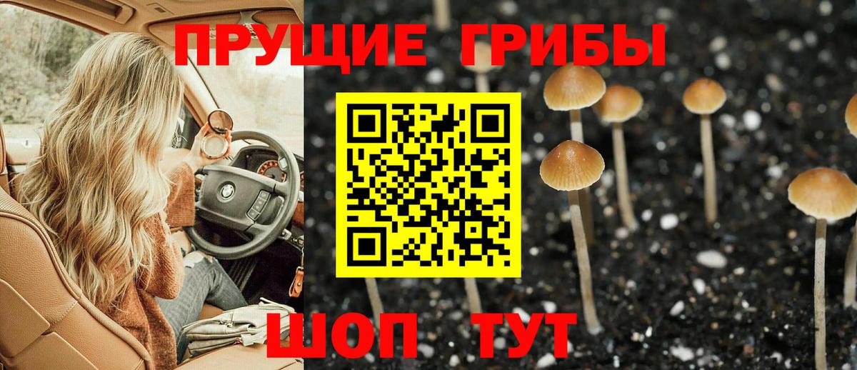 Галлюциногенные грибы Cubensis  даркнет сайт  Гурьевск  Вход с VPN 