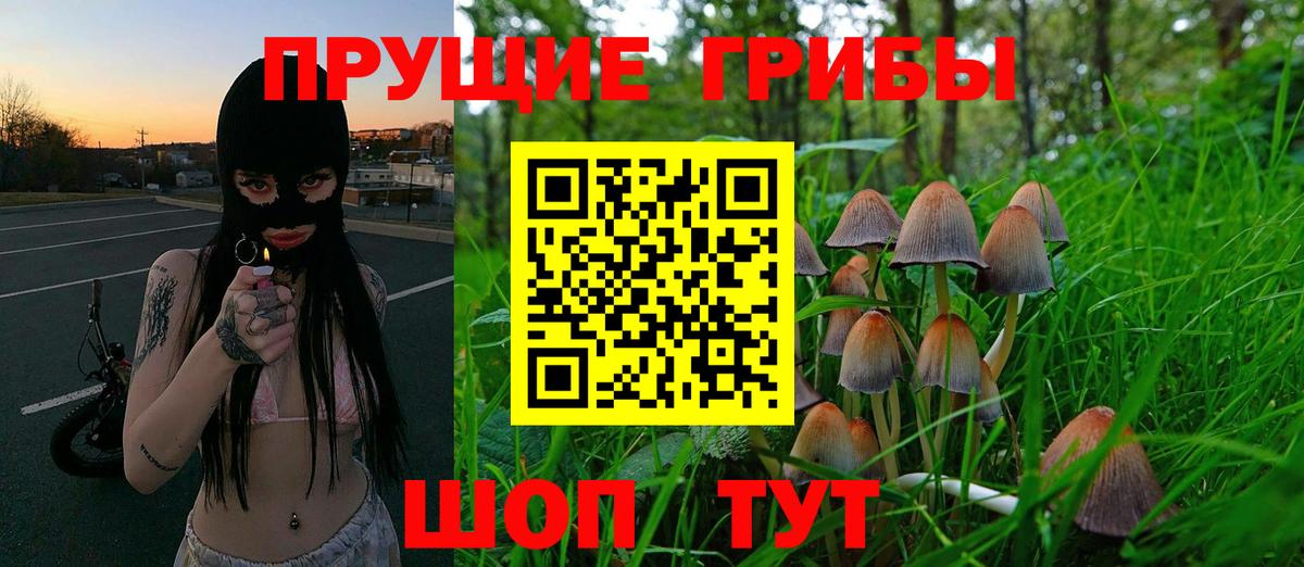 Псилоцибиновые грибы прущие грибы Гурьевск