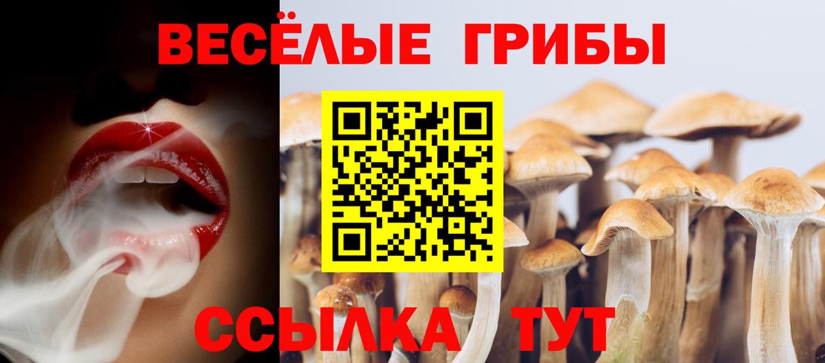 КЕТАМИН Гурьевск